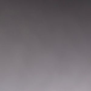 Meet your Posher, Bridget